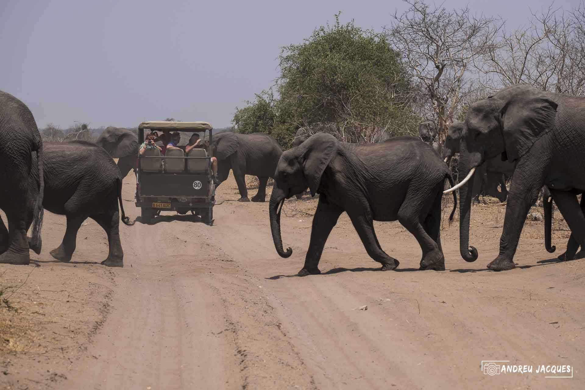 namibie16-31.jpg