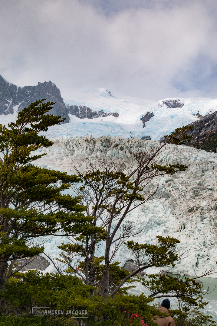 patagonie-139.jpg