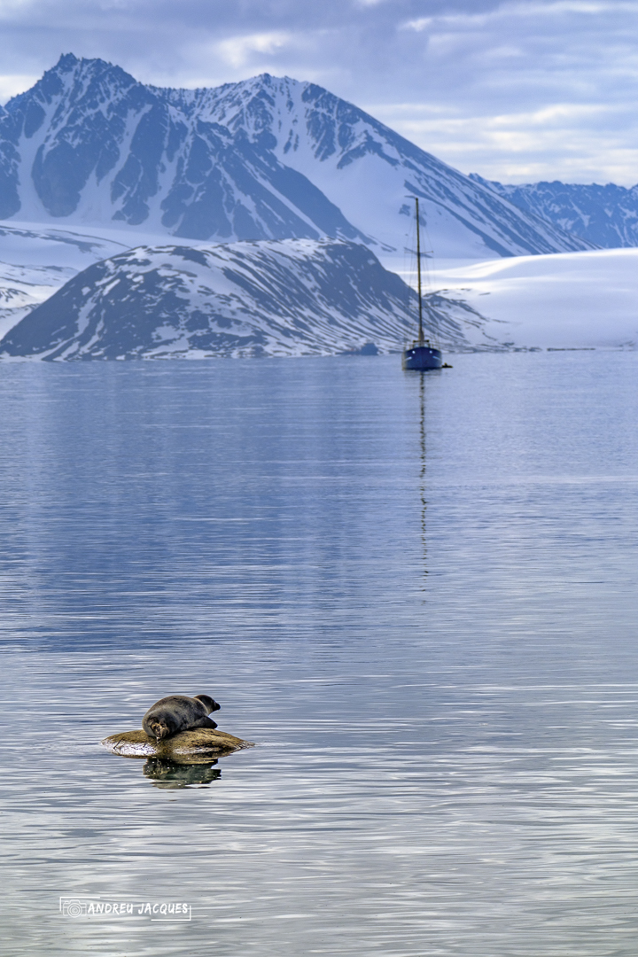 svalbard-34.jpg