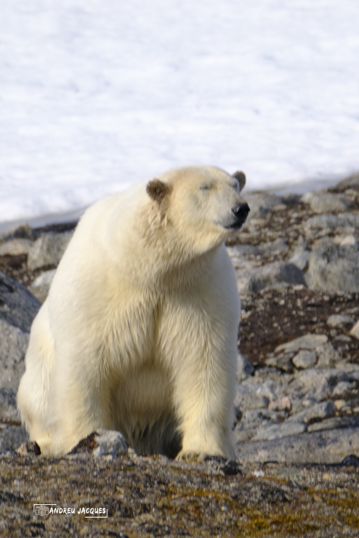 svalbard-57.jpg